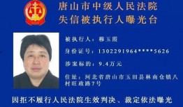 爆料合川老赖名单最新,诚信为本，法律不容侵犯